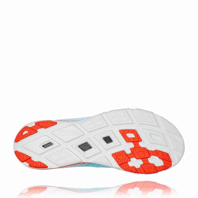 Hoka evo carbon discount